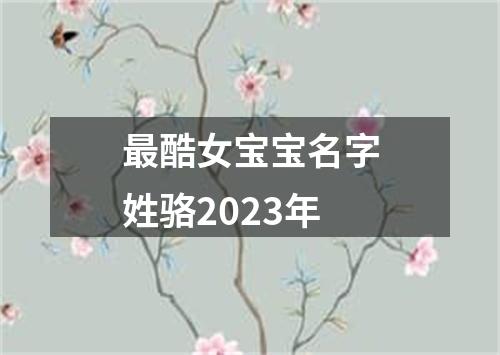 最酷女宝宝名字姓骆2023年