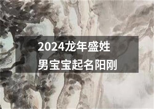 2024龙年盛姓男宝宝起名阳刚