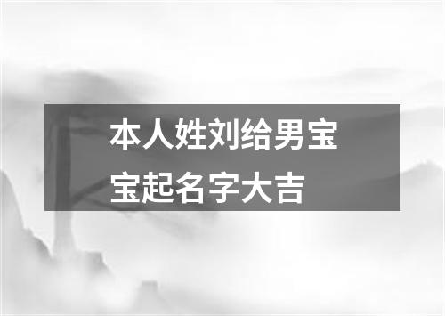 本人姓刘给男宝宝起名字大吉