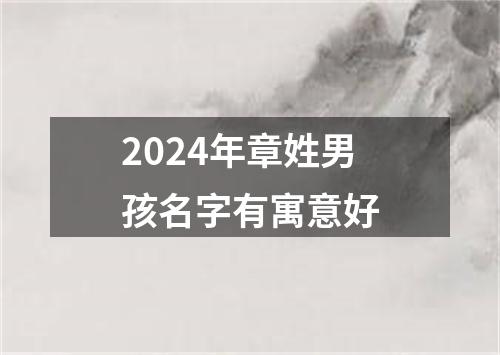 2024年章姓男孩名字有寓意好