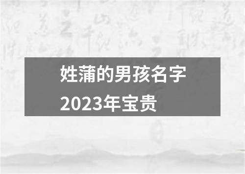 姓蒲的男孩名字2023年宝贵