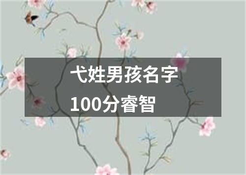 弋姓男孩名字100分睿智