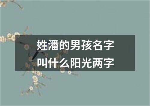 姓潘的男孩名字叫什么阳光两字