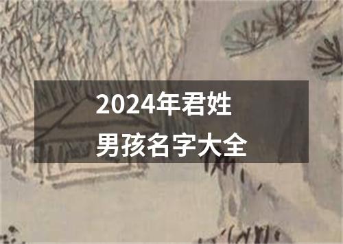 2024年君姓男孩名字大全