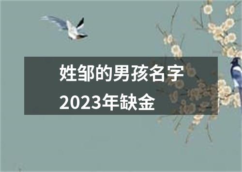 姓邹的男孩名字2023年缺金