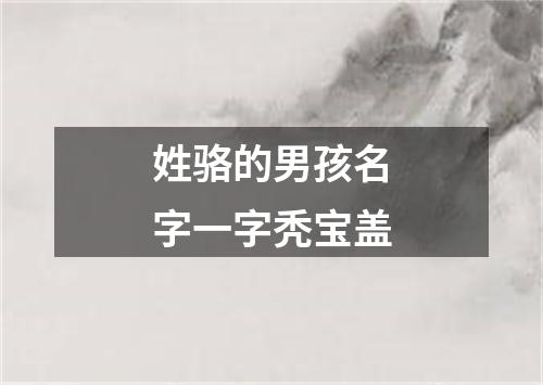 姓骆的男孩名字一字秃宝盖