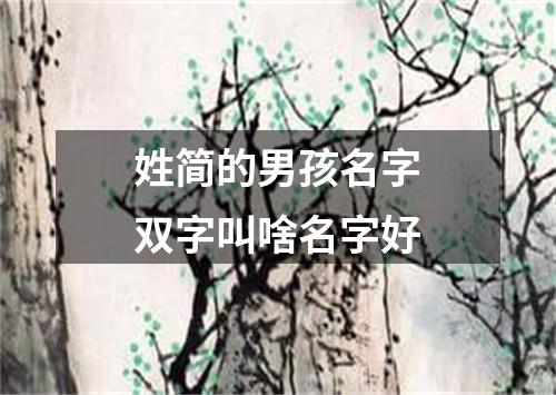 姓简的男孩名字双字叫啥名字好