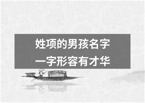 姓项的男孩名字一字形容有才华