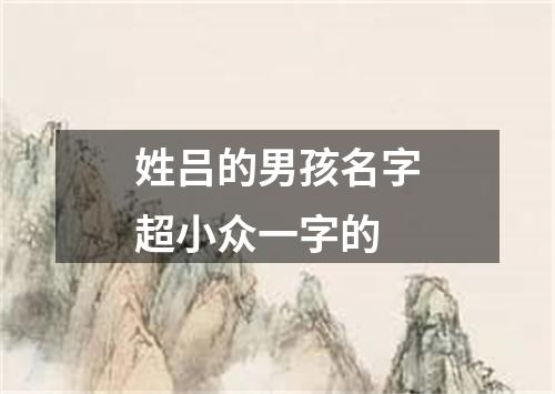 姓吕的男孩名字超小众一字的