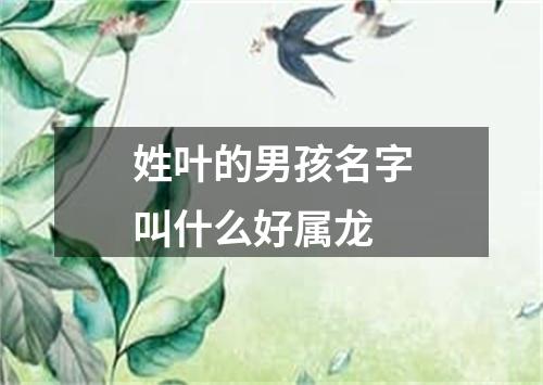 姓叶的男孩名字叫什么好属龙