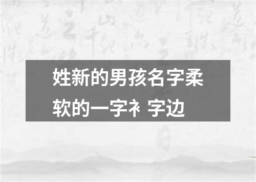 姓新的男孩名字柔软的一字衤字边