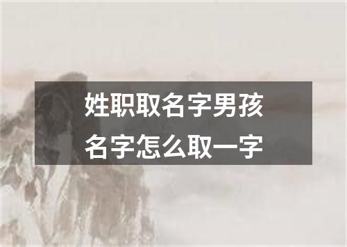 姓职取名字男孩名字怎么取一字