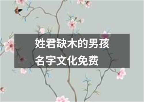 姓君缺木的男孩名字文化免费