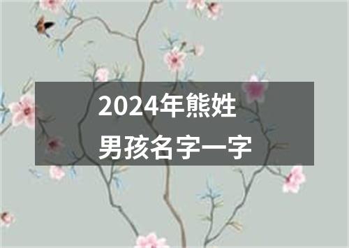 2024年熊姓男孩名字一字