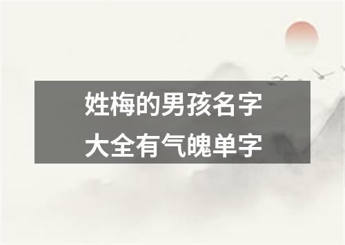 姓梅的男孩名字大全有气魄单字