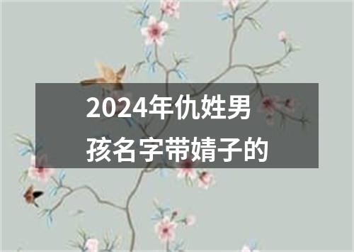 2024年仇姓男孩名字带婧子的