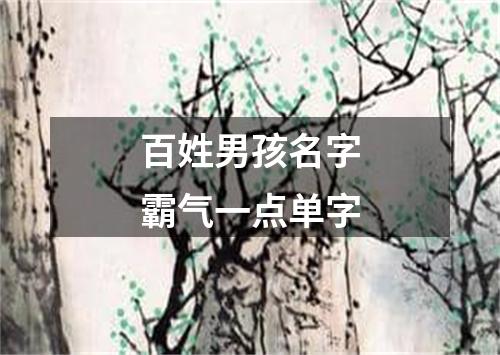 百姓男孩名字霸气一点单字