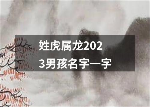 姓虎属龙2023男孩名字一字