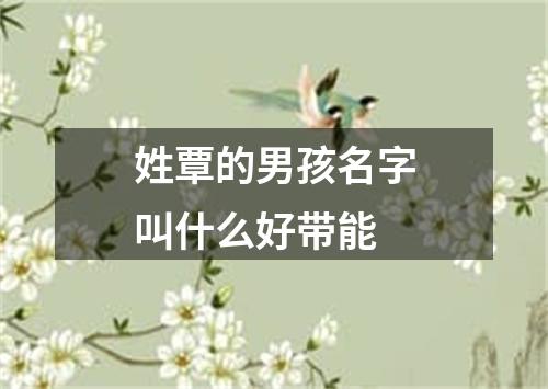 姓覃的男孩名字叫什么好带能