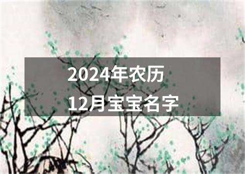 2024年农历12月宝宝名字