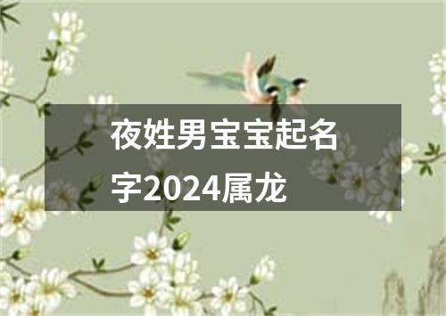 夜姓男宝宝起名字2024属龙