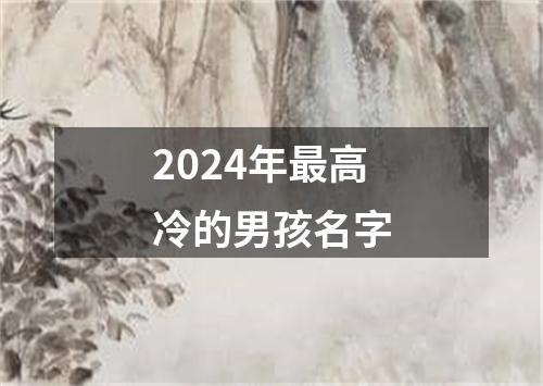 2024年最高冷的男孩名字