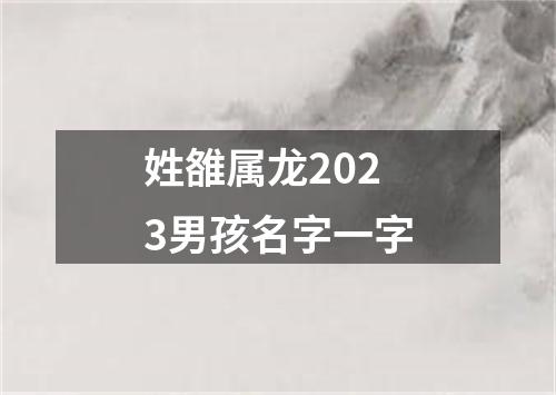 姓雒属龙2023男孩名字一字