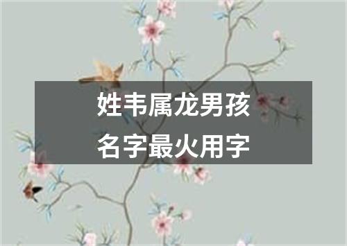 姓韦属龙男孩名字最火用字