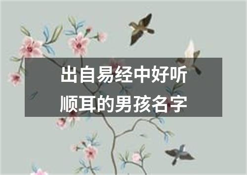 出自易经中好听顺耳的男孩名字