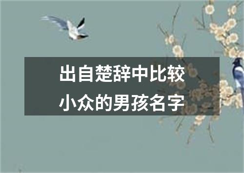 出自楚辞中比较小众的男孩名字