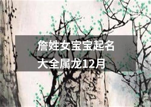 詹姓女宝宝起名大全属龙12月