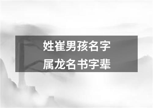 姓崔男孩名字属龙名书字辈