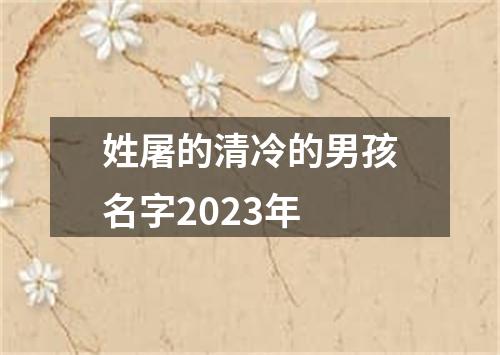 姓屠的清冷的男孩名字2023年