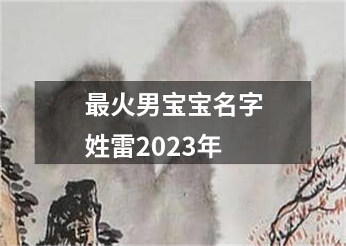 最火男宝宝名字姓雷2023年