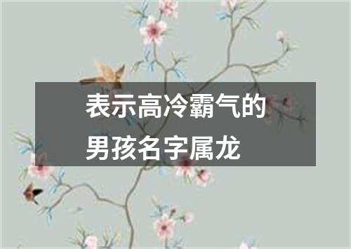 表示高冷霸气的男孩名字属龙