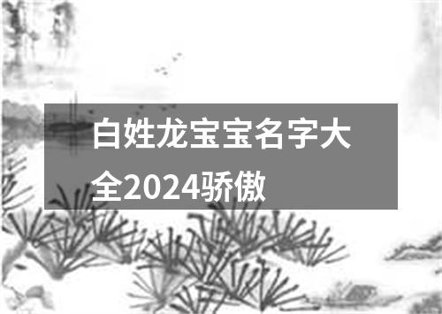 白姓龙宝宝名字大全2024骄傲