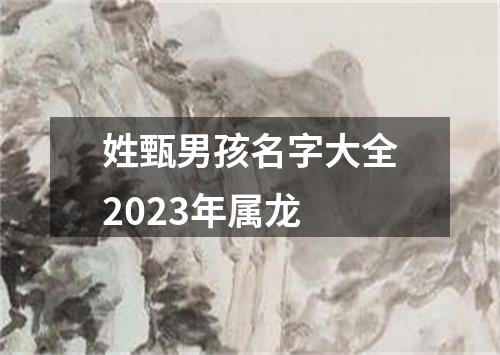 姓甄男孩名字大全2023年属龙