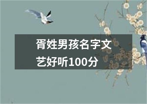 胥姓男孩名字文艺好听100分