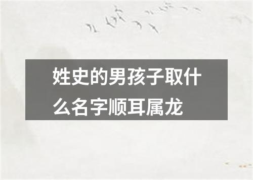 姓史的男孩子取什么名字顺耳属龙