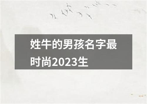 姓牛的男孩名字最时尚2023生