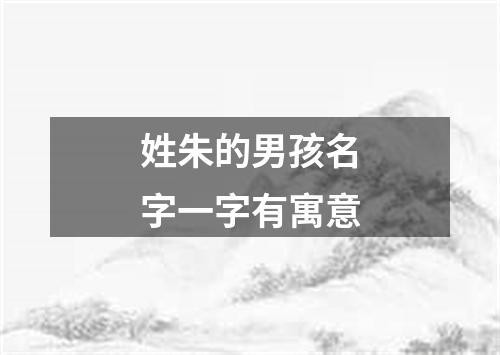 姓朱的男孩名字一字有寓意