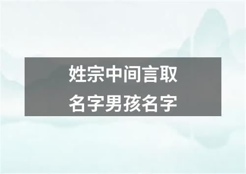 姓宗中间言取名字男孩名字