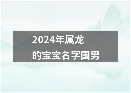 2024年属龙的宝宝名字国男