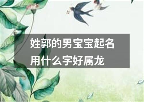 姓郭的男宝宝起名用什么字好属龙