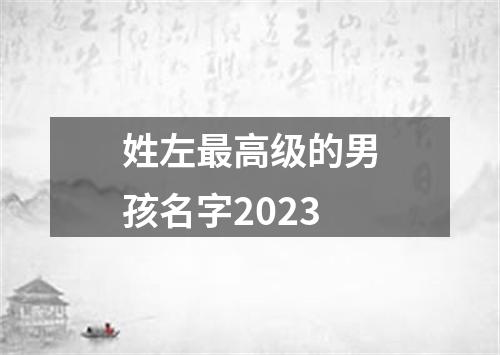 姓左最高级的男孩名字2023