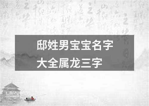 邸姓男宝宝名字大全属龙三字