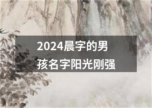 2024晨字的男孩名字阳光刚强