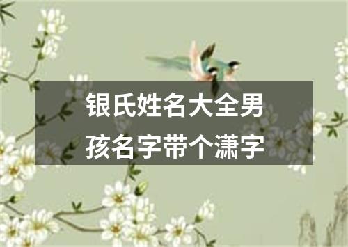 银氏姓名大全男孩名字带个潇字