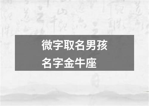 微字取名男孩名字金牛座