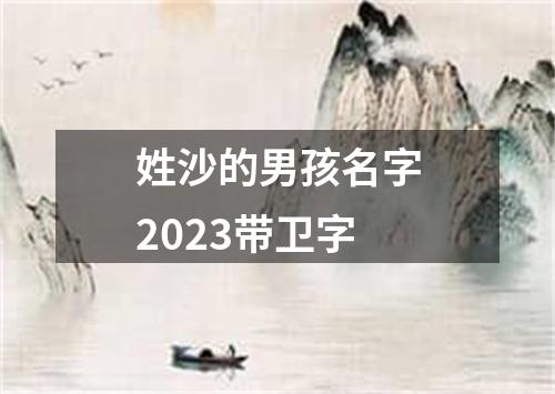 姓沙的男孩名字2023带卫字